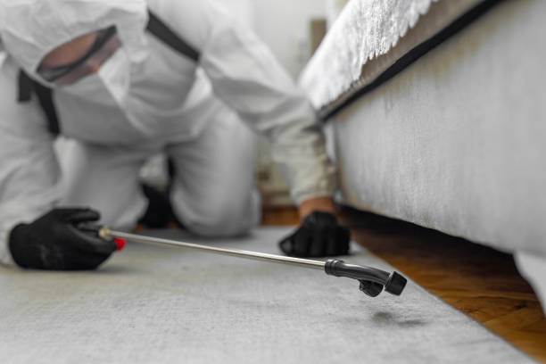 Professional Termite Control technician working in Sky Valley, CA