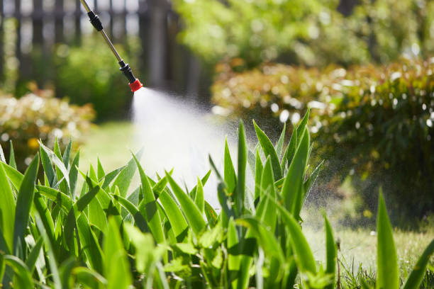 24/7 Emergency Termite Control experts in Sky Valley, CA