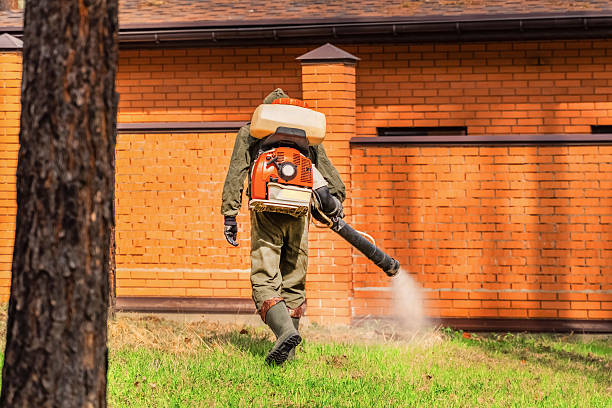 Trusted Mosquito Control service in Sky Valley, CA - Nex Pest Control